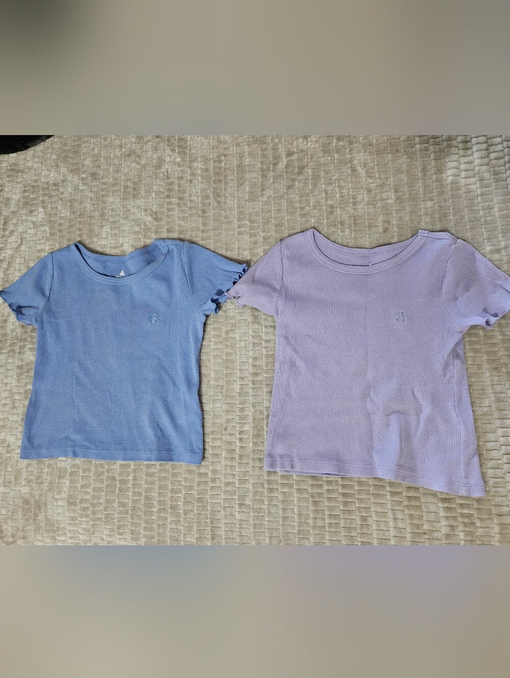GAP Ribbed Short Sleeve Tees - Blue and Lavender